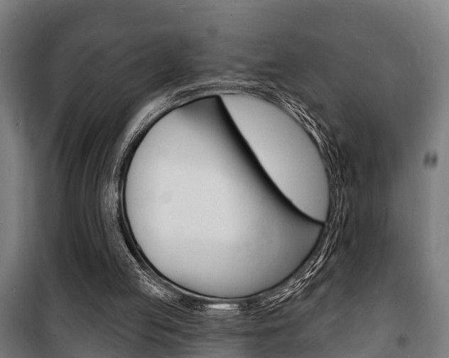 X0000100840053200806200747