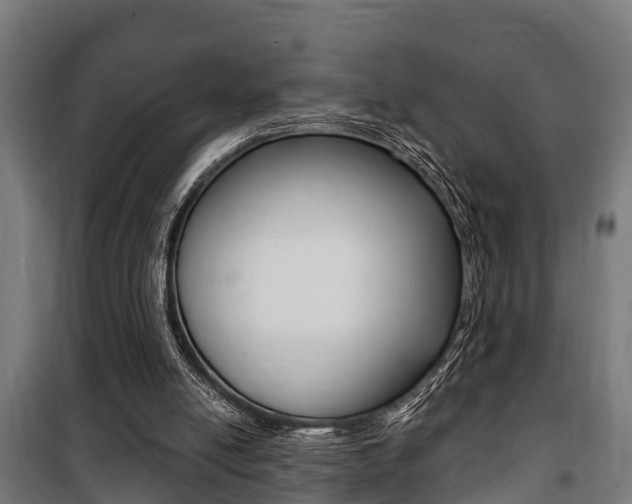 X0000100840054200806200748