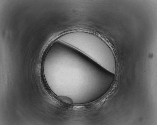 X0000100840055200806200748