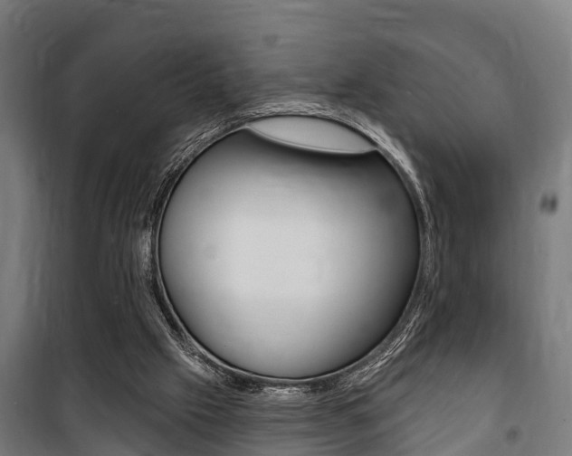 X0000100840057200806200748