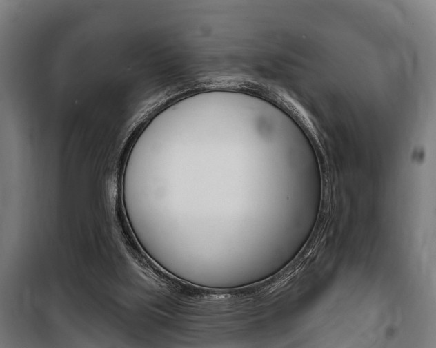 X0000100840059200806200748