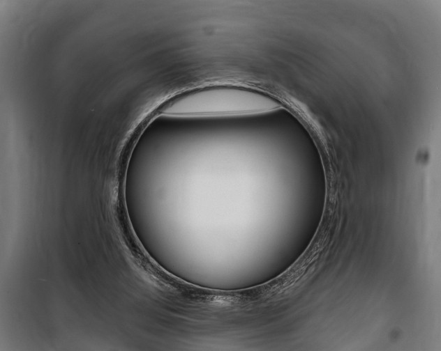 X0000100840060200806200748