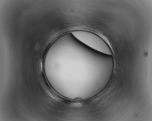 X0000100840061200806200748