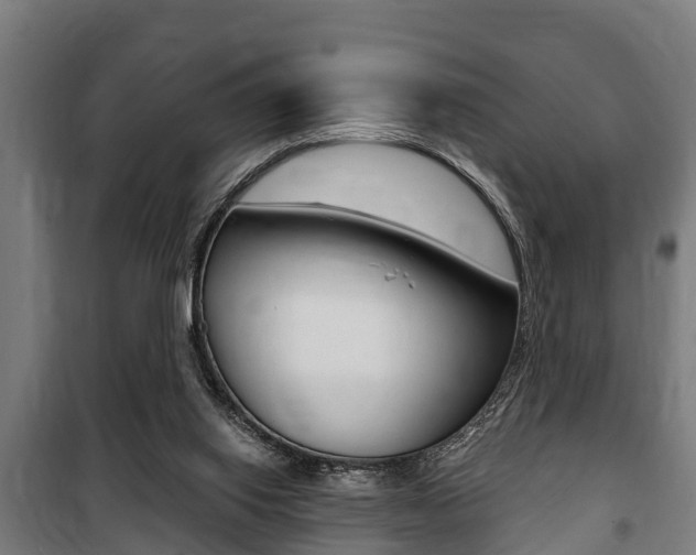 X0000100840062200806200748