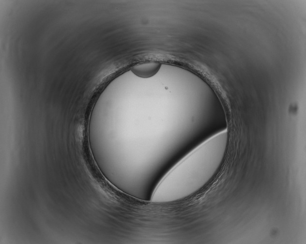 X0000100840063200806200748