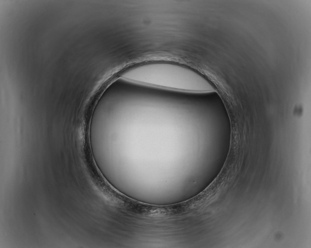 X0000100840064200806200748