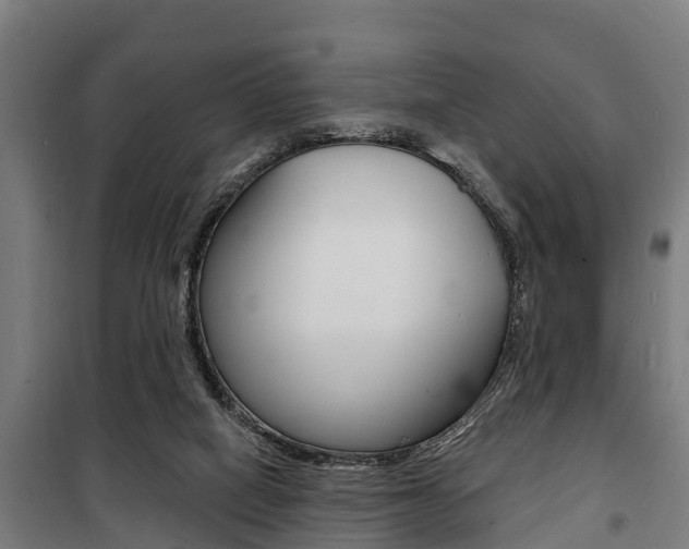 X0000100840066200806200748