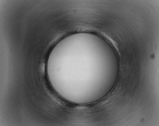 X0000100840067200806200748