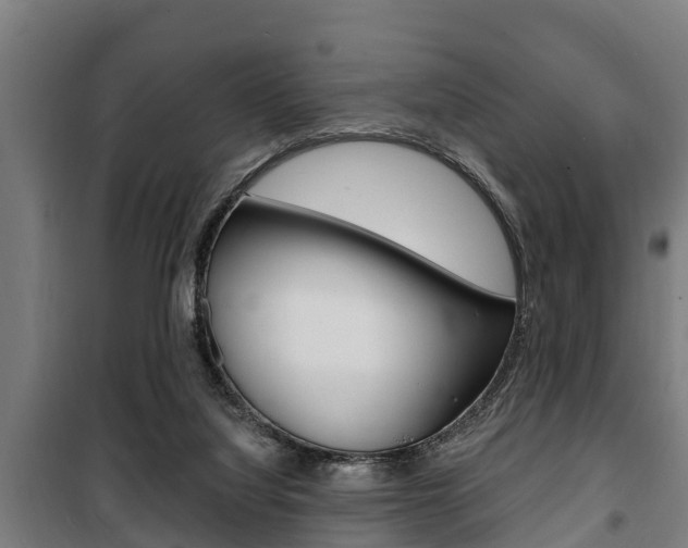 X0000100840068200806200748