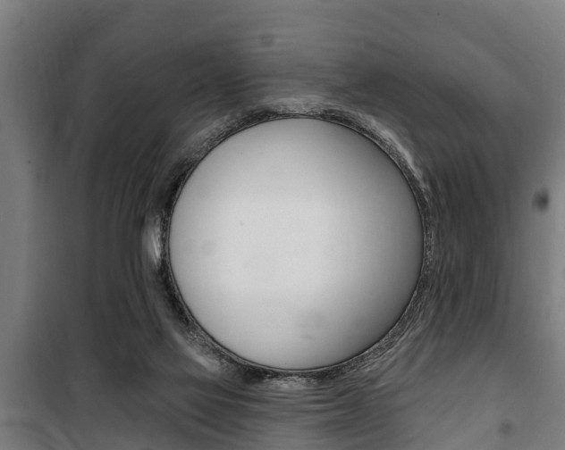 X0000100840069200806200748