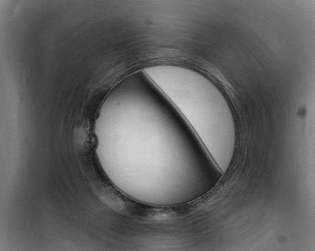 X0000100840073200806200748