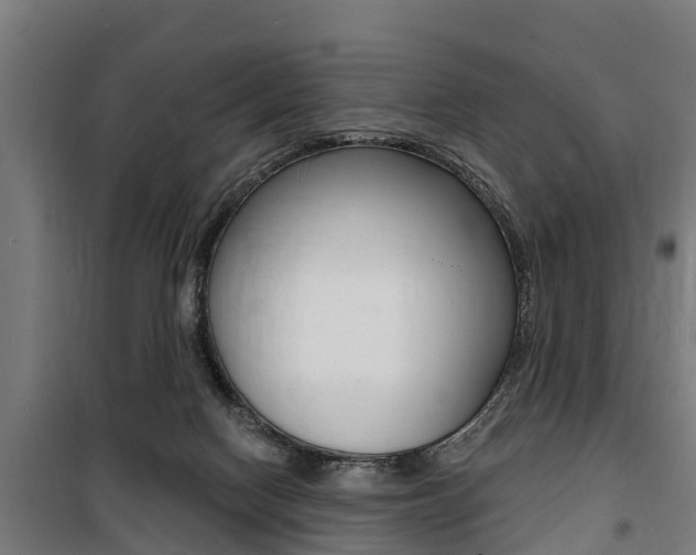 X0000100840074200806200748