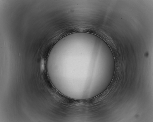 X0000100840075200806200748