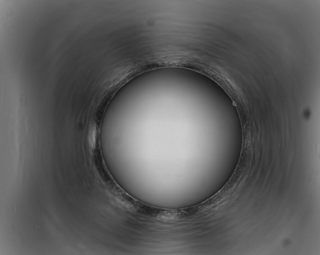 X0000100840076200806200748