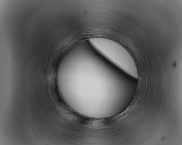 X0000100840078200806200748