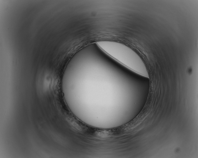 X0000100840079200806200748