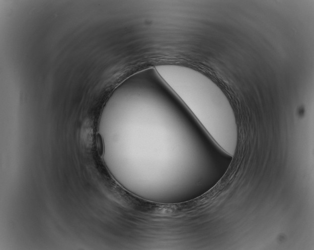 X0000100840080200806200748