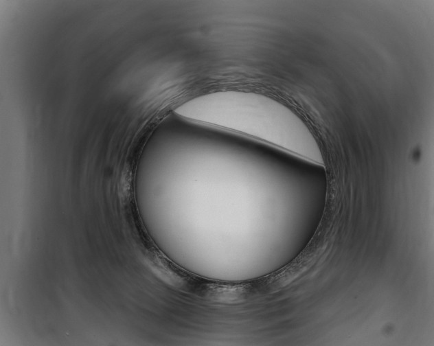 X0000100840081200806200748