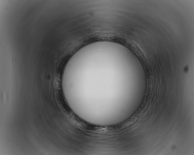 X0000100840083200806200748