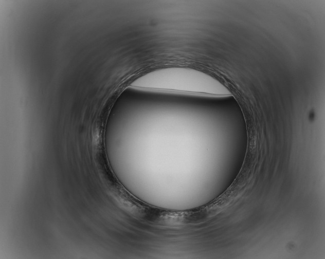 X0000100840084200806200748