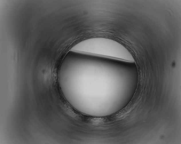 X0000100840085200806200748