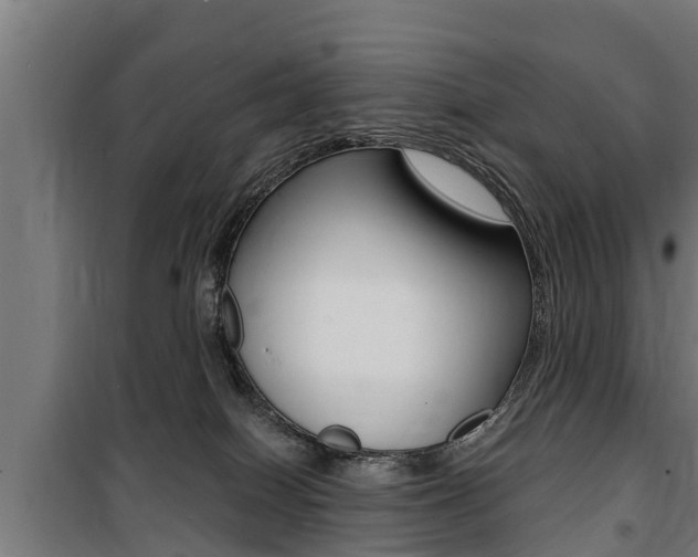 X0000100840086200806200748