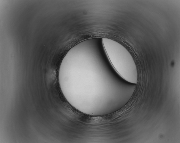 X0000100840087200806200748