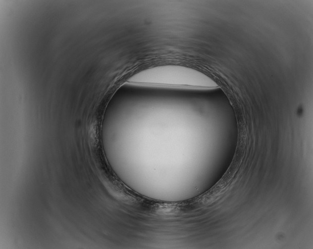 X0000100840088200806200748