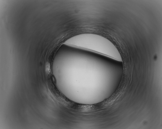 X0000100840089200806200748