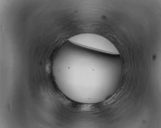 X0000100840090200806200748