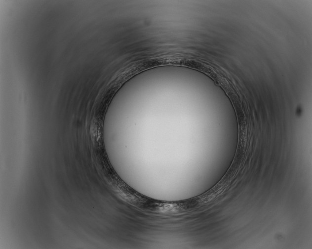 X0000100840091200806200748