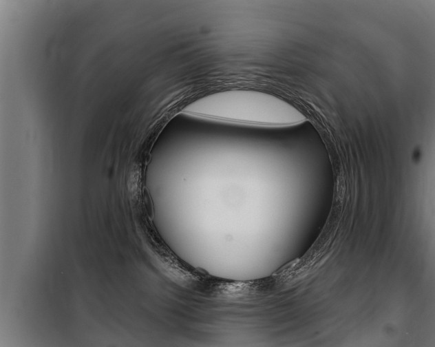 X0000100840092200806200748