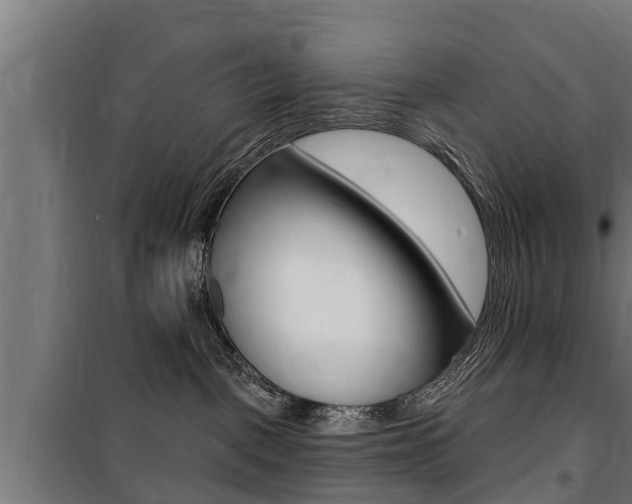 X0000100840093200806200748