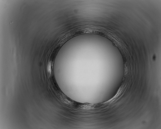 X0000100840094200806200748