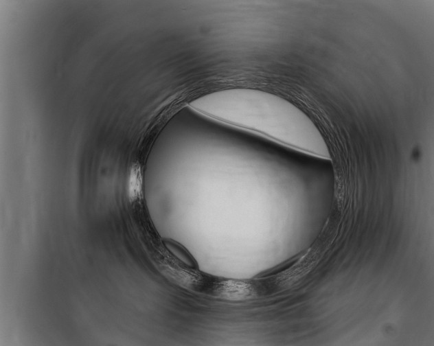 X0000100840095200806200748