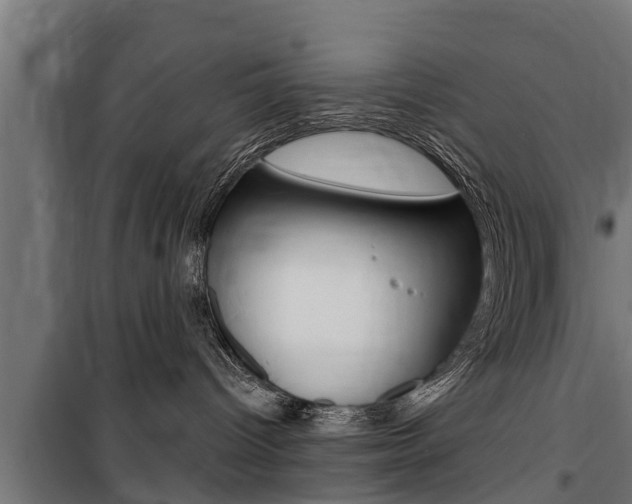 X0000100840096200806200748