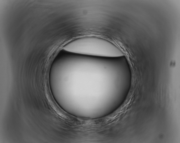 X0000100840097200806200747