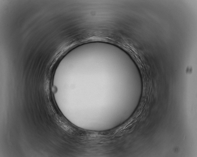 X0000100840098200806200747