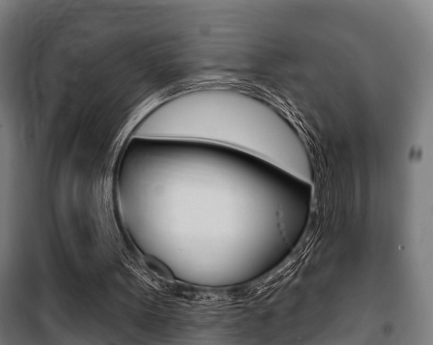 X0000100840099200806200747