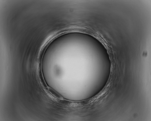 X0000100840101200806200747