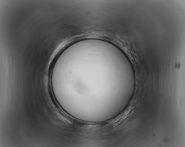 X0000100840102200806200747