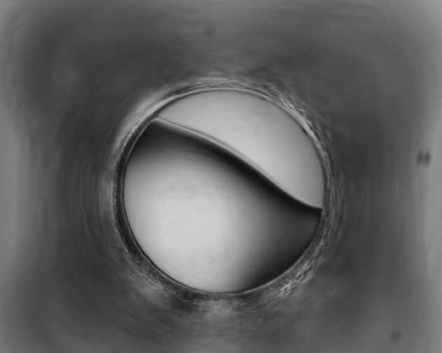 X0000100840103200806200747