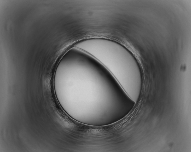 X0000100840107200806200747