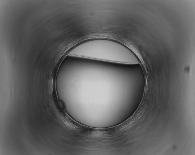 X0000100840109200806200747