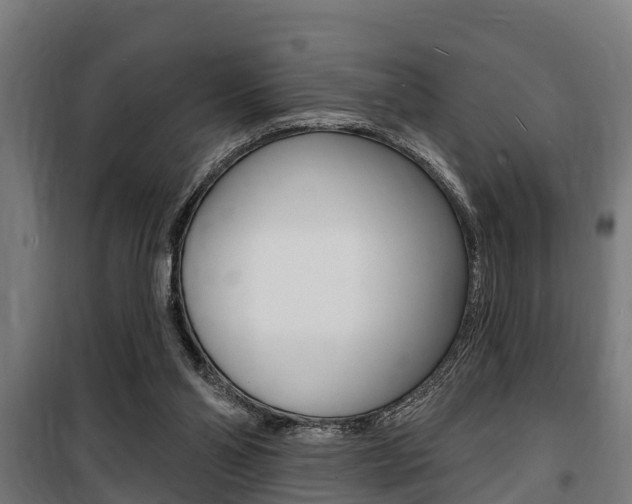 X0000100840110200806200747