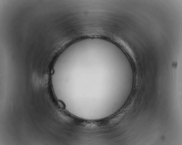 X0000100840113200806200747