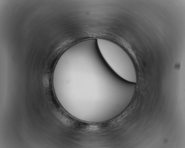 X0000100840114200806200747