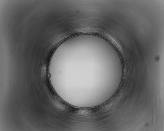 X0000100840117200806200747