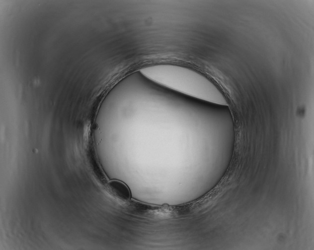 X0000100840118200806200747