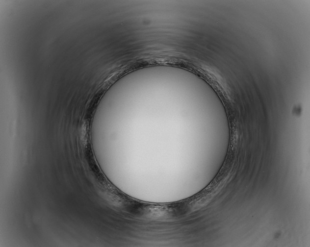 X0000100840121200806200747